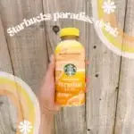 Starbucks Paradise Drink, 14 Oz Bottle