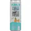 BUBBL'R Tropical Dream'r