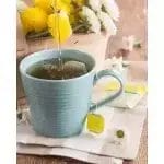 Bigelow Cozy Chamomile Tea Bags 28-Count/ 6 Boxes