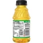 Minute Maid Apple Juice, 10 Oz Bottle